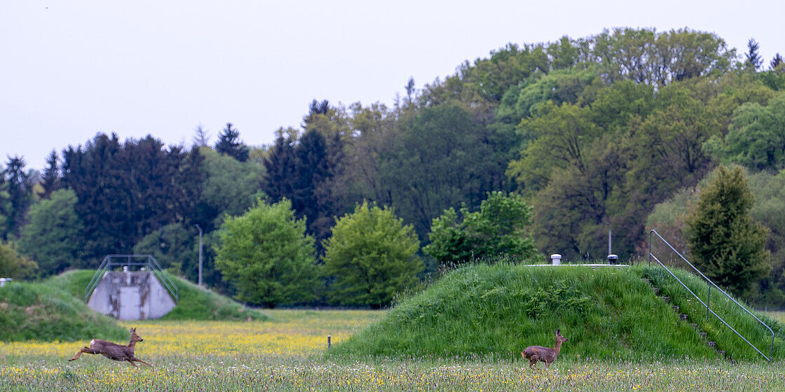 Bürgerbeteiligung 2026