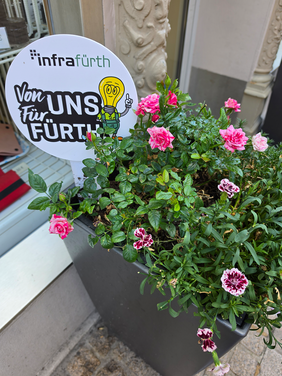 Begrünung der Stadt Fürth